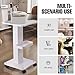 Cozyel Esthetician Beauty Salon Trolley Cart with Wheels, Salon Spa Trolley Stand, 3 Tier Esthetician Machine Rolling Cart for Beauty Instrument Storage