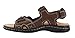 Dockers Men’s Newpage Sporty Outdoor Sandal Shoe,Briar, 10 M US