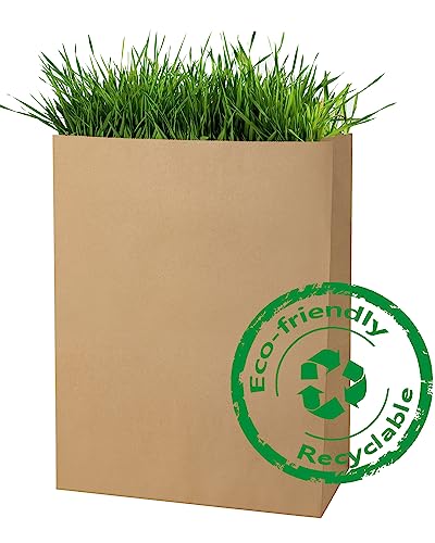 Bagdream BDLGROCERYB 52Lb 10X6X14 Kraft Brown Paper Grocery Bags 100Pcs Bulk thumb #5