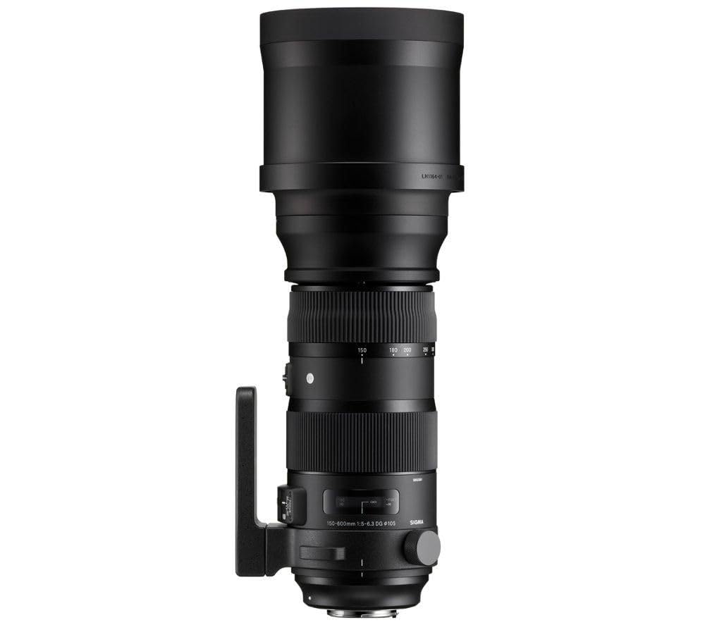 Amazon | SIGMA 150-600mm F5-6.3 DG OS HSM | Sports S014 | ニコンF