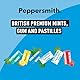 Peppersmith 100% Xylitol Mints Eukalyptus und Pfefferminze 15 g, (12 x 15 g), 1er Pack (1 x 0.18 kg)