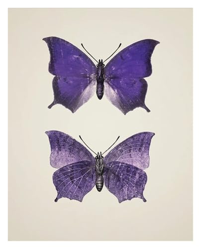 Art mural nature LEMST affiche vintage papillons pour relooker un salon