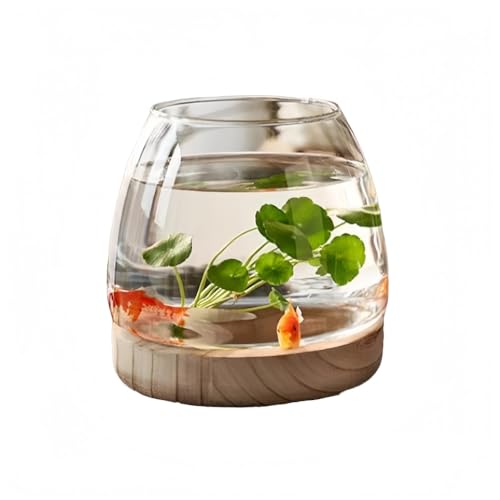 haoyunjianjiak   ANAE KX ی^ ϗtA | CeA e 琅 {E e e[u _J   e h ]|h~ AN ƒp (M)