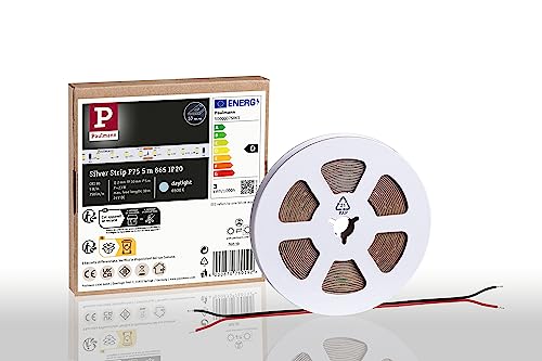 Ruban LED Paulmann Pro Strip P75 865 argent 5m 6500K lumière du jour