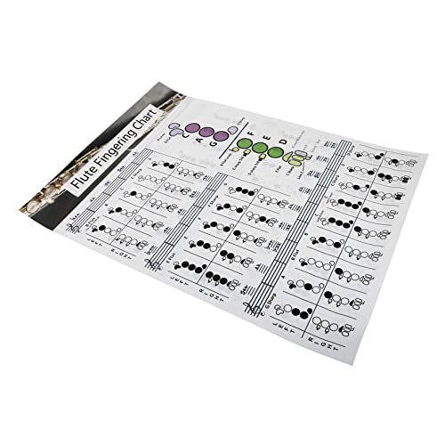 HAMPPLIES t[gR[h\ yR[h|X^[ KpR[g`[g SҌwKKCh  wpt⏕c[