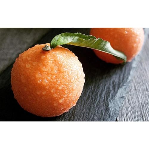 OCPO Kitchen Orange Silicone Mold for Baking Mousse Cake, Chocolate, Fruit Dessert, Pudding, Jelly, Ice Cream Mould, Cake Decoration Mold, Non-Stick and Easy Release, 3D Orange Shape (8-Cavity)