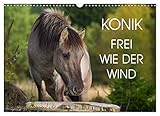 PERFEKTES GESCHENK - Kalender für Freunde und Familie, für Kinder und Erwachsene, jung und alt, zu Weihnachten, Geburtstag oder zwischendurch.