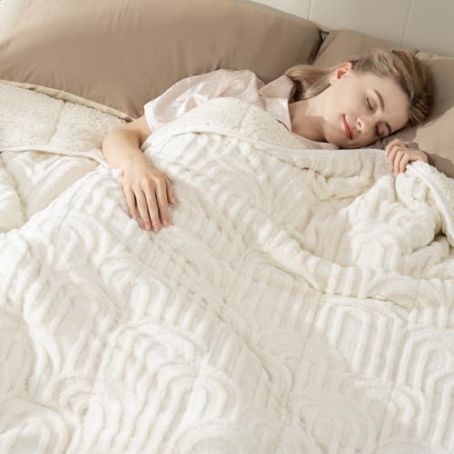 Cottonblue Jacquard Weighted Blanket for Adults 15 lbs Queen Size, Soft Fluffy Sherpa Fleece...