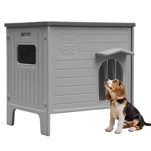 Rockever hbOnEX O  ^ ^p vX`bN ˎO h tA|ƑgݗĂȒP (M)