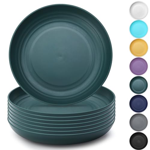 Kyraton Large Deep Plastic Plates 8 Pieces, 9 Inch Dinner Plates, Unbreakable and Reusable Light Weight Dinner Plates Pasta and Dumpling Bowl Microwave Safe