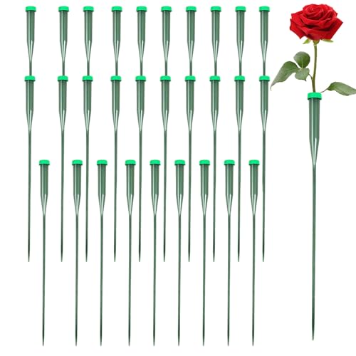 Paquete de 30 tubos de agua florales, cabezales de silicona de tubo de flores, orquídea extendida con varilla, flor Phalaenopsis Nutrition