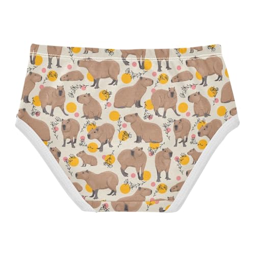 Girls' Underwear Capybara Plant Circle Cotton Stretch Comfort Toddler Panties2