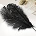 Rgontar 10-12 inches Black Ostrich Feather,Large Natural Ostrich,Plumas para Decoraciones for Home Decor Party Wedding Decorations, Pack of 5 (Black)