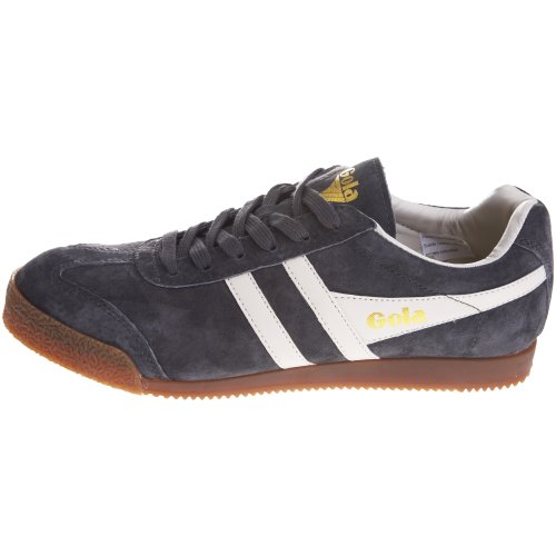 Image of Gola Harrier