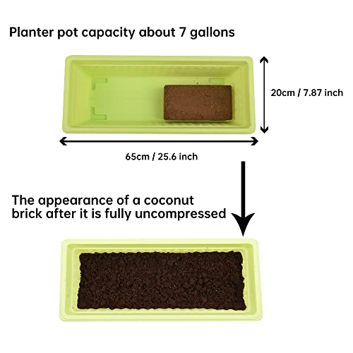 Tileon Coco Coir Brick 1.4lbs, Coconut Block Expands 2.3 Gallons / 9 Quarts Organic Potting Soil, Peat Moss for All Plants, Seeds and Seedlings - Thumbnail 5
