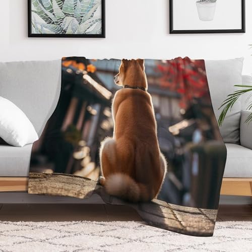 Manta suave para perro que protege el sofá de pelos y frío 3