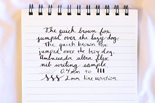 Fountain Pen Revolution Fpr Ambassador Black Fountain Pen W/Ultra Flex Nib - Luxury Pen Set Includes Bottle Filling Converter & 2 Long Cartridges #TOP2