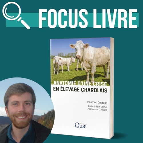 INTERVIEW - Anatomie d'une crise en &eacute;levage charolais | Jonathan Dubrulle