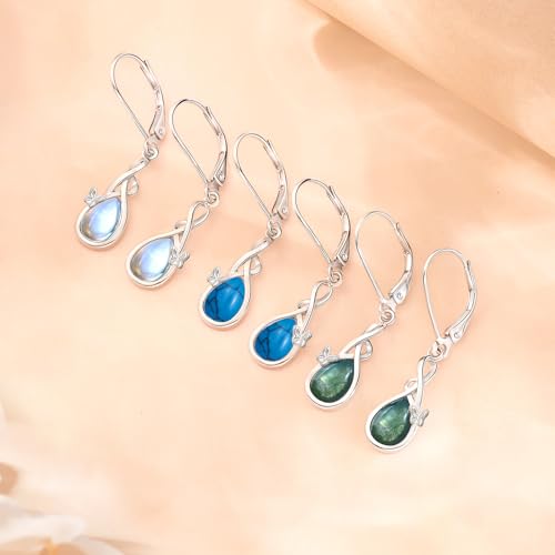Infinity Butterfly Leverback Earrings for Women 925 Sterling Silver Infinity Teardrop Dangle Earrings Butterfly Jewelry Gifts for Mother Women Wife Her3