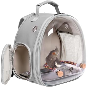 bird carrier with perch inside