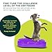 FitPaws® K9FITbone® - Regular, Purple | Dog Balance Training Platform & Exercise Equipment | Workout Tool for Strength, Core & Stability