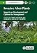 Produktbild Invasive Alien Plants: Impacts on Development and Options for Management (CABI Invasives, 8)