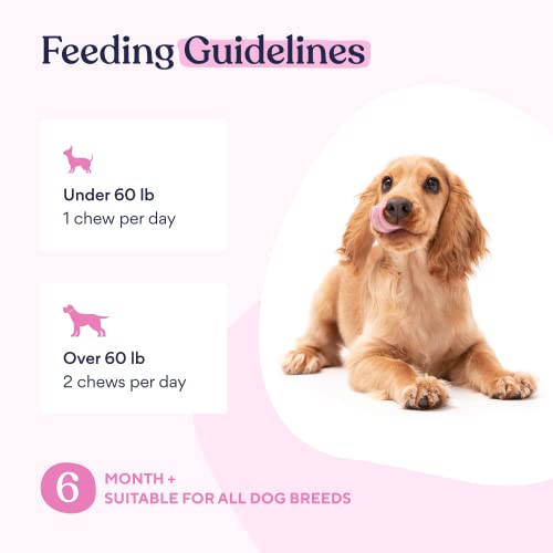 Pawfy Multivitamin Chews | 15 in 1 Premium Supplement | Immunity | Joints | Skin | Coat | Energy | with Vitamins, Oils & Minerals - Thumbnail 6