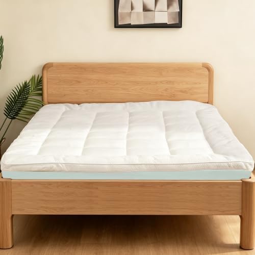 3.9 Inch Queen Mattress Topper, Gel Memory Foam and Pillow Top