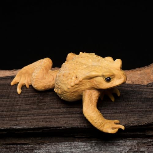 Statues de crapaud en buis sculpté main | Décoration de bureau raffinée 7,5cm