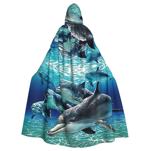 Robe de carnaval dauphin et cape médiévale à capuche pour adulte