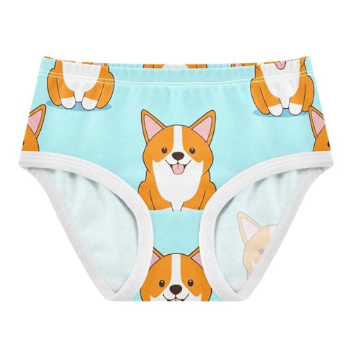 Pattern Girls Underwear Toddler 2t Cotton Girl Panties Cute Cute Cartoon Corgi Dogs Light Blue Briefs Kids Undies
