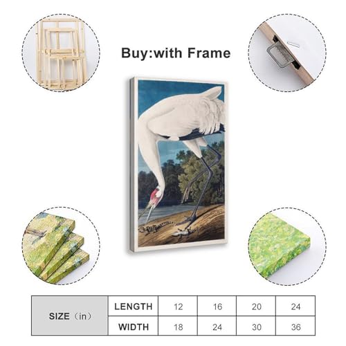 Hooping Crane Audubon poster toile grand format pour mur vide