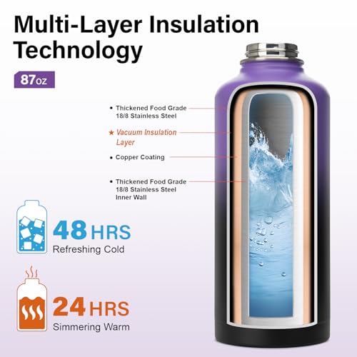 Insulated Water Bottle | Thickened Stainless Steel for Gym and Hiking with Straw, Carrier Bag, Handle Strap | BPA-Free 87 oz