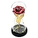 Kit de Rosas La Bella y la Bestia, Hoja de Oro Rojo Rosa y luz LED con Cuentas de Oro en cúpula de Vidrio en Base de Madera para decoración del hogar Boda de cumpleaños Día de la Madre