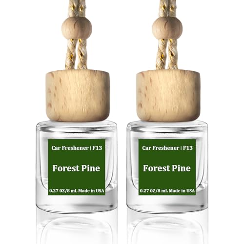 HoogaLife Car Air Freshener Diffuser 2 Pack Hanging Air Freshener Diffuser - Forest Pine Fragrance Oil Air D iffuser for Car, 45+ Days Long Lasting Fragrance Made in USA (F13)