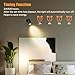 LED Spotlights Indoor, 5W Plants Uplighting with Remote Control Dimmable & Timer, Uplights Indoor Floor Spot Lights for Painting, Picture, Artwork, Accent Stick on Wall Light with 5.9 FT Plug Cord