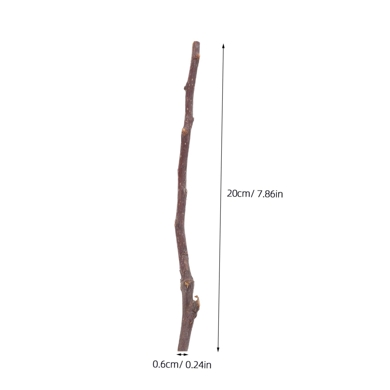 Operitacx 50pcs Log Section Birch Twigs and Branches for Vases Craft Twigs Sticks DIY Tree Branches Macrame Dowel Rods Twigs for Crafts Large Craft Sticks Birch Tree Branches Wood Brown