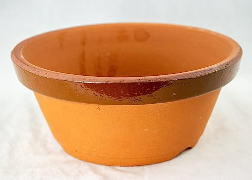 Top 5 Best Tokoname Bonsai Training Pots