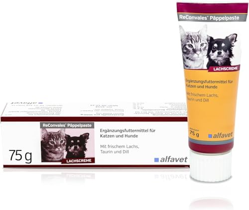 Alfavet ReConvales Päppelpaste - Bundle - 3 x 75 g