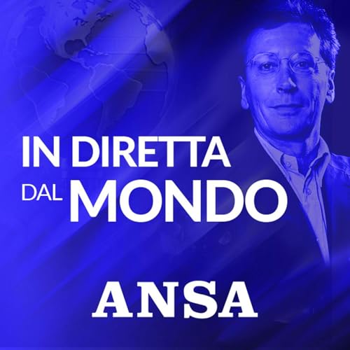 La parabola dell'ONU in un mondo alla deriva