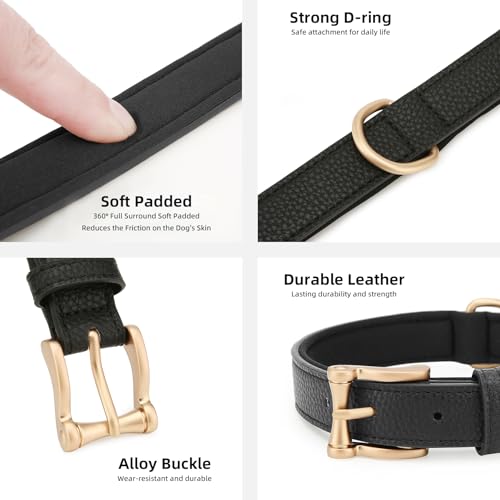 Collar de Cuero para Perro Padded Negro XL miniatura 4