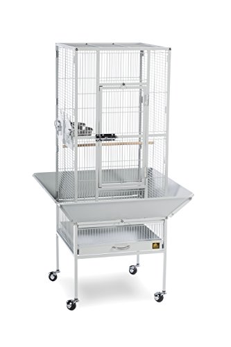 Prevue Pet Products Wrought Iron Bird Cage