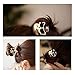 Women's Gril's Retro Punk Fashion Metallic 3D Skull HairBand Rope Tie Wrap Ponytail Holder Bronze