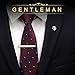 HooAMI Mens Fashion Metal Simple Necktie Tie Bar Clip 2 3/8
