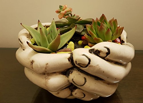 Image of Lasaki Hand Ceramic Pots for Indoor Plants,Planters,Flower pots,gamla for Indoor,Outdoor,Balcony,Home,Garden,Office Decor,Pot,Succulent Pot(Ivory)(L:18 cm, W:16 cm, H:9 cm)(Plants not Included)