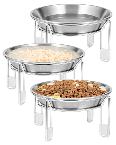 Elevated cat Bowl, 6.3