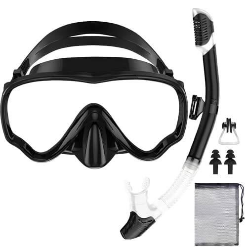 POWZOO Gafas de Buceo Adulto,Gafas de Buceo panorámicas de 180°,Gafas y Tubo de Snorkel Set para Adulto,con Tapones para los oídos,Clip de Nariz, Bolsa de Malla de Almacenamiento(Negro)