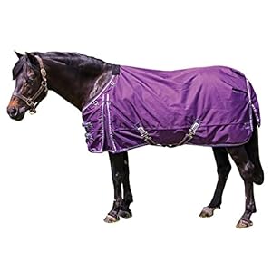 Dura-Tech Viking Classic Pony Turnouts Horse Blanket | Surcingle Euro Fit | Waterproof Horse Blankets | 1200D Horse Turnout Blanket | Winter Horse Blanket