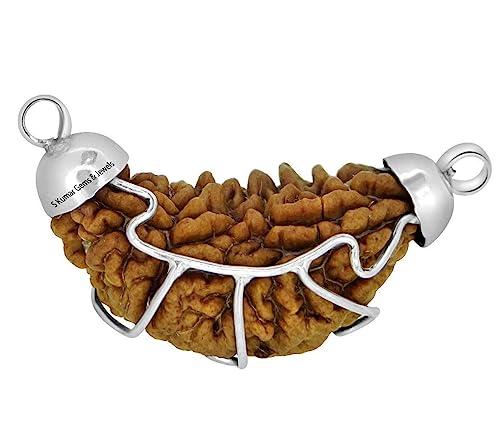 Pendentif Rudraksha 1 Mukhi argent pour méditation et yoga