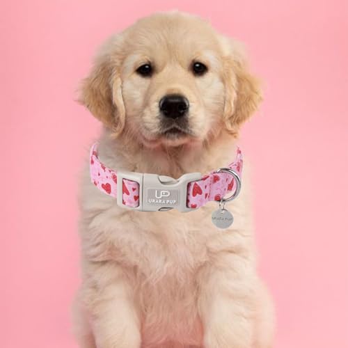 Image of Valentine's Day Dog Collar, Pink Heart Dog Collar with Quick Release, Valentine's Day Gift Pet Collar for Puppy Girl Boy Dogs, Wedding Dog Collar